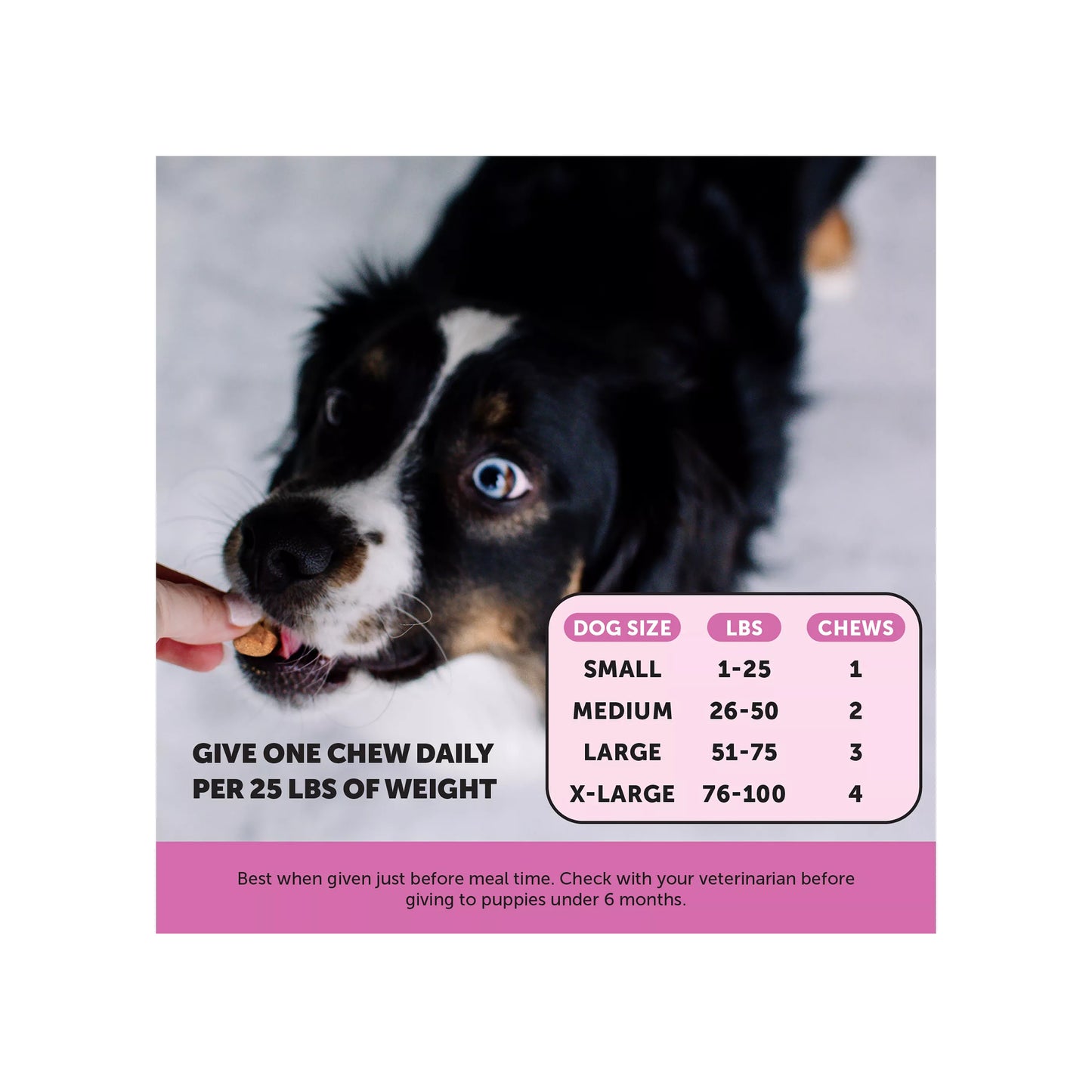 Pet Honesty 10-in-1 Multivitamin - Soft Chews