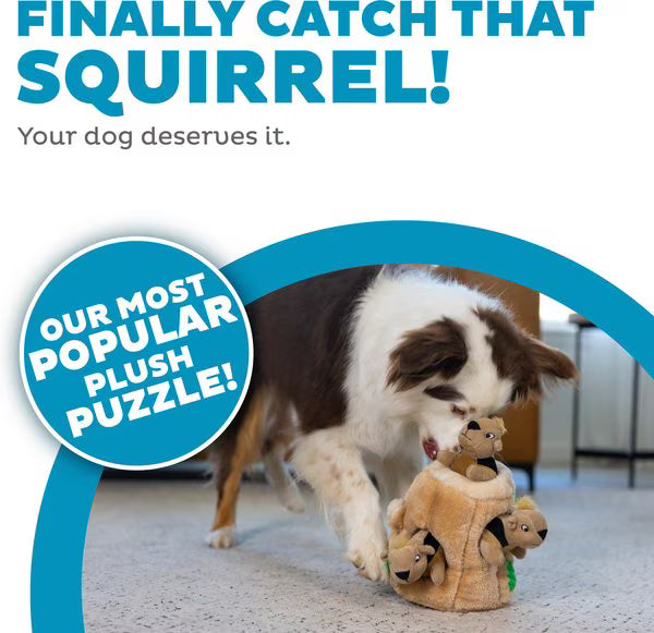 Outward Hound Hide A Squirrel Squeaky Puzzle Plush Dog Toy