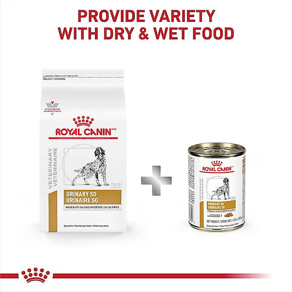 Royal Canin Veterinary Diet Adult Urinary SO Moderate Calorie Dry Dog Food