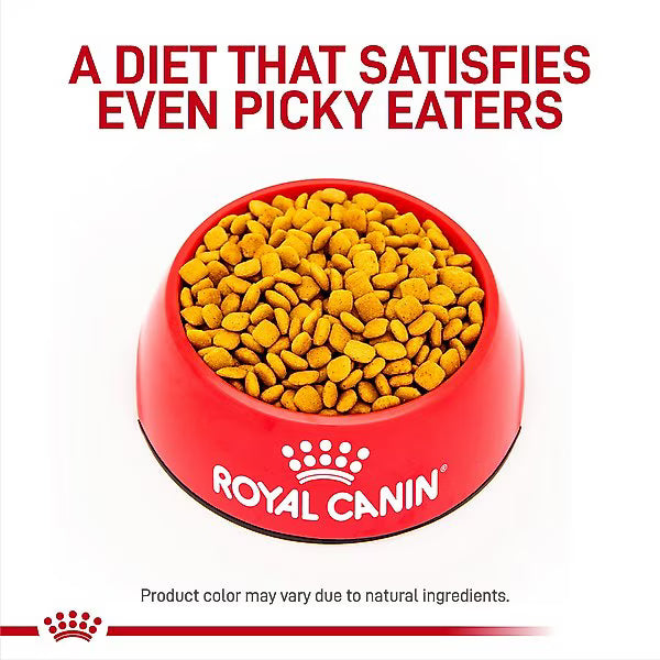 Royal Canin Veterinary Diet Adult Urinary SO Moderate Calorie Dry Dog Food