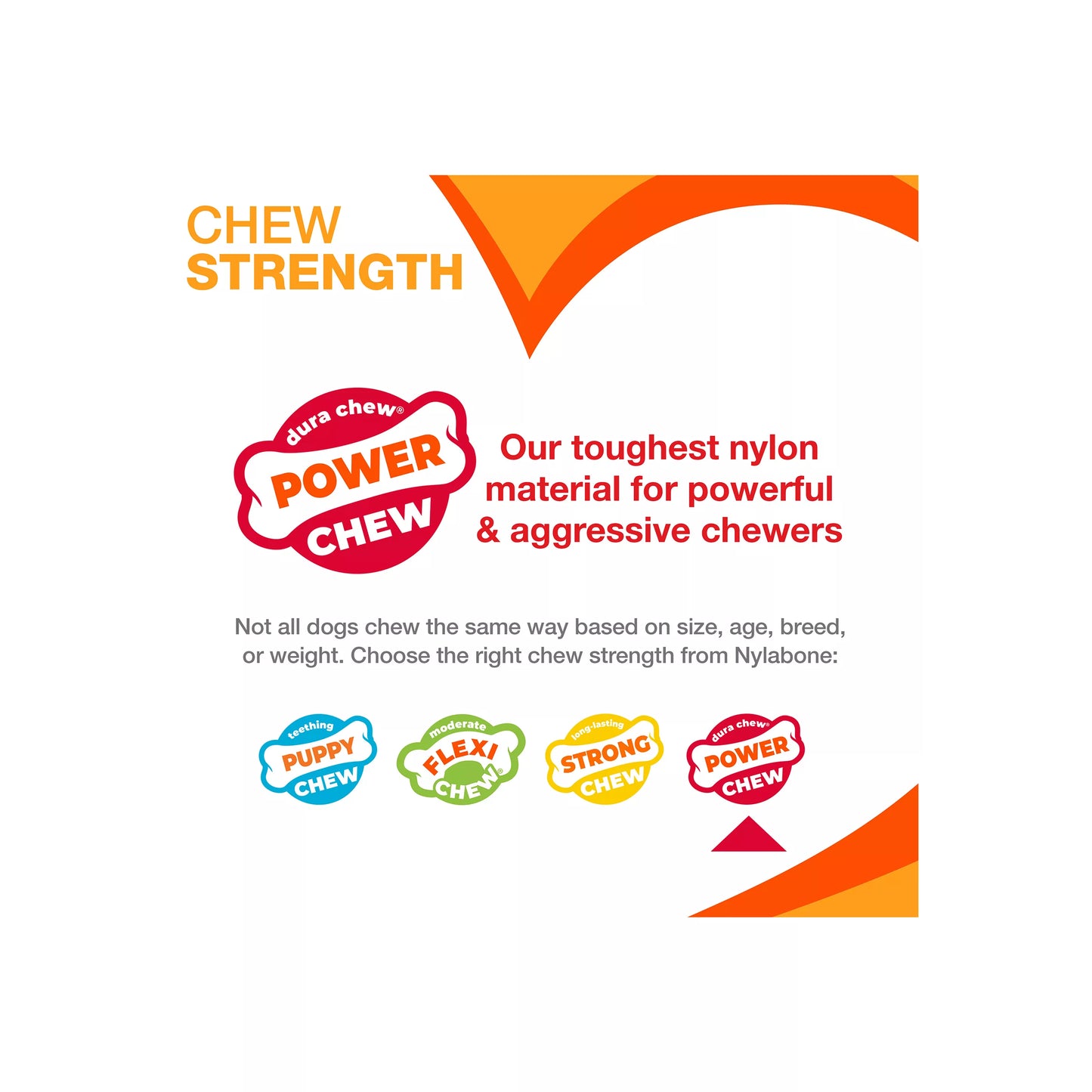 Nylabone® DuraChew® Bone Chew Dog Toy