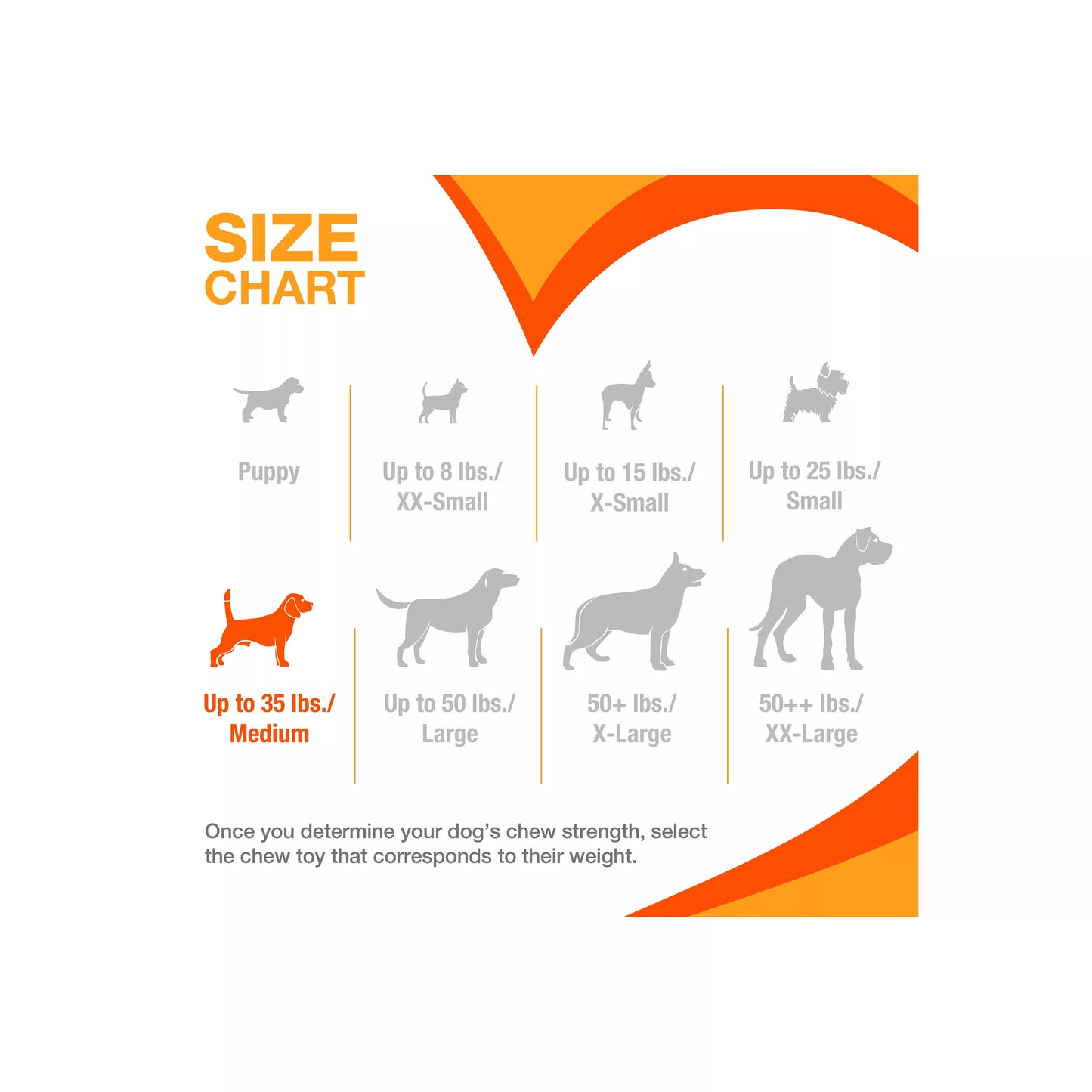 Nylabone® DuraChew® Bone Chew Dog Toy