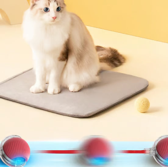 Interactive Cat Toys Ball