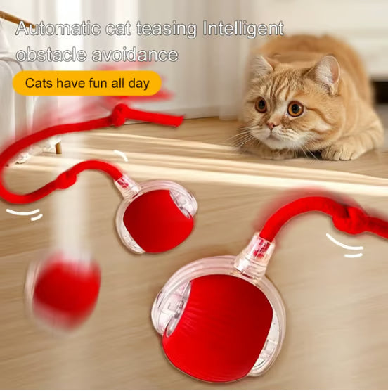 Interactive Cat Toys Ball