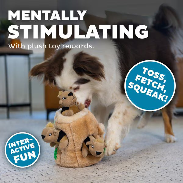 Outward Hound Hide A Squirrel Squeaky Puzzle Plush Dog Toy