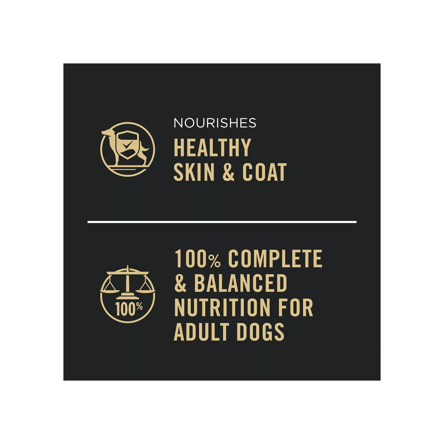 Purina® Pro Plan Complete Essentials Adult Wet Dog Food - Classic Pate,