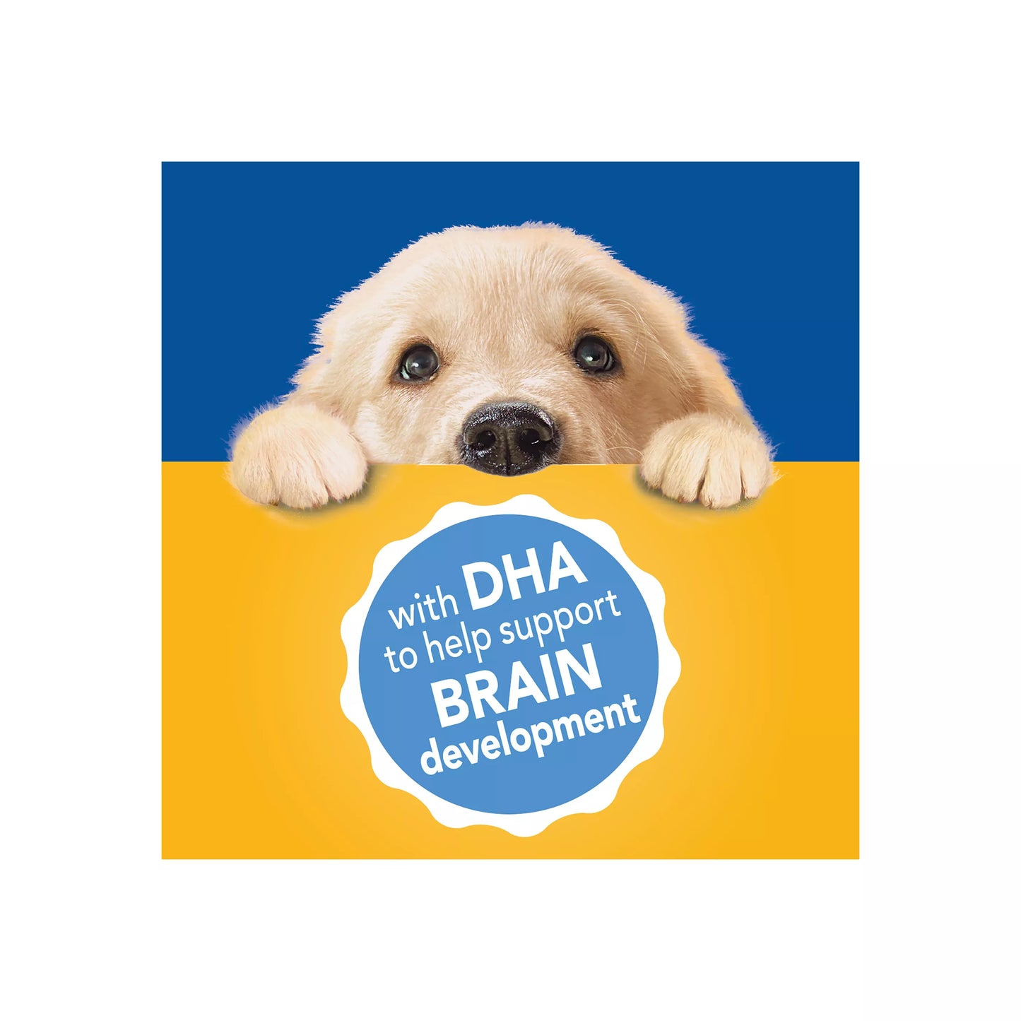 Pedigree Chopped Ground Dinner Puppy Wet Dog Food, Lamb & Rice, 13.2 oz. Can