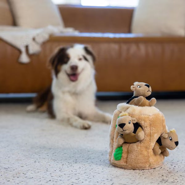 Outward Hound Hide A Squirrel Squeaky Puzzle Plush Dog Toy