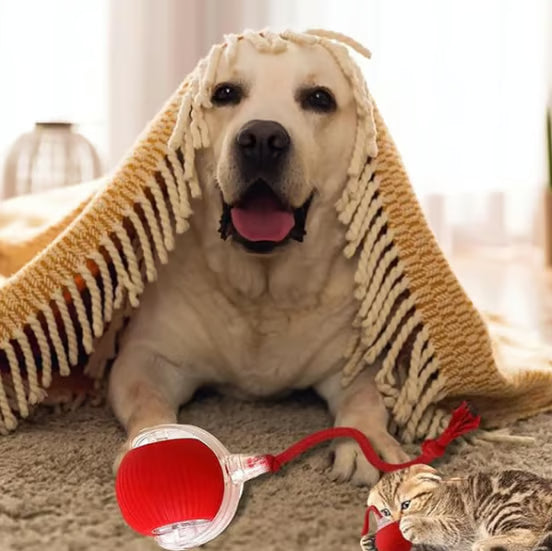 Interactive Cat Toys Ball