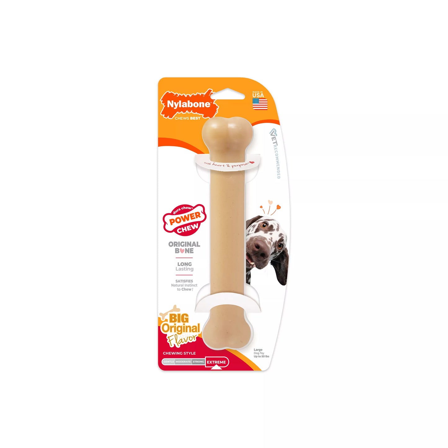 Nylabone® DuraChew® Bone Chew Dog Toy