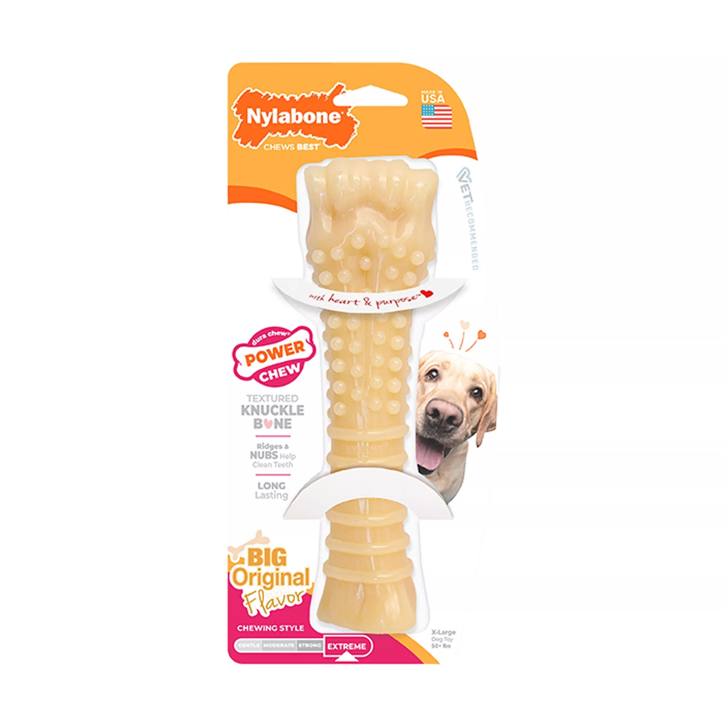 Nylabone® DuraChew® Bone Chew Dog Toy