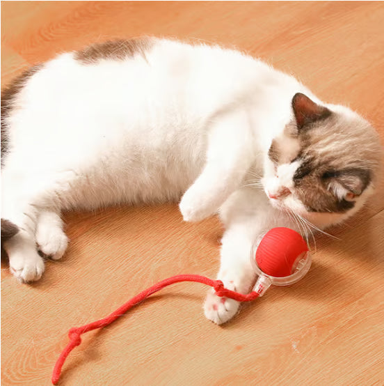 Interactive Cat Toys Ball